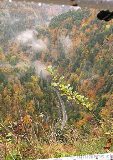 Original image